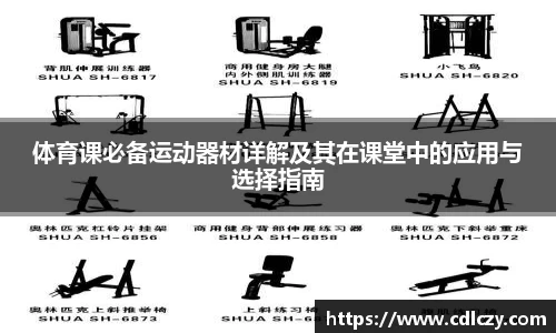 体育课必备运动器材详解及其在课堂中的应用与选择指南